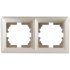 Фотография товара 'Эра Рамка для розеток и выключателей Intro Solo 4-502-04 на 2 поста, СУ, шампань Б0043413'