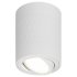 Фотография товара 'Эра Светильник настенно-потолочный спот OL33 WH MR16 GU10 IP20 белый Б0056379'