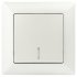 Фотография товара 'Эра Выключатель Intro Solo 4-102-06 одноклавишный с подсветкой, 10А-250В, IP20, СУ, перламутр Б0053568'