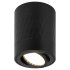 Фотография товара 'Эра Светильник настенно-потолочный спот OL33 BK MR16 GU10 IP20 черный Б0056378'