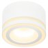Фотография товара 'Эра Светильник настенно-потолочный спот OL51 WH GX53 IP20 белый Б0059804'