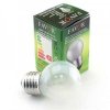 Эра Лампочка Favor P45 60Вт Е27 / E27 230В шар матовый Б0043899