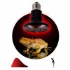Эра Инфракрасная лампа ЭРА FITO-100W-НQ керамическая серии CeramiHeat Б0052715
