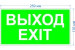 Эра Б0057712 Пиктограмма INFO-SSA-116 пленка бэклит Выход-exit
