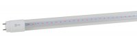 Эра Лампа красно-синего спектра FITO-18W-RB-Т8-G13-NL Б0042990