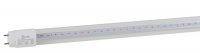 Эра Лампа красно-синего спектра FITO-9W-RB-Т8-G13-NL Б0042986
