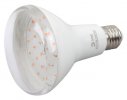 Эра Лампа полного спектра FITO-15W-Ra90-E27 Б0039173
