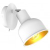 Эра Светильник настенно-потолочный спот Rivoli Esmeree 7056-701 1 х Е14 40 Вт поворотный с выключателем Б0054742